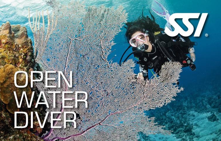 SSI Open Water Diver certification