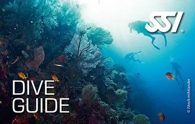SSI Dive Guide course