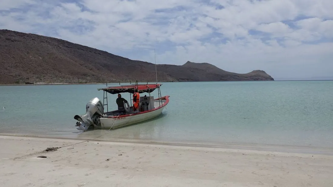 Our boat pulled up on a white-sand beach on Espíritu Santo Island