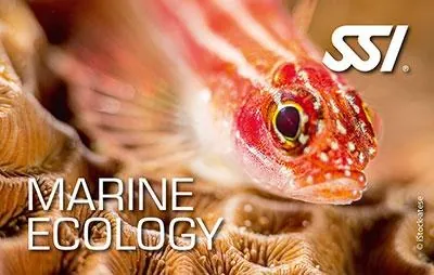 SSI Marine Ecology course